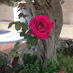 Medea Vacanze Apartmanhotel Taormina