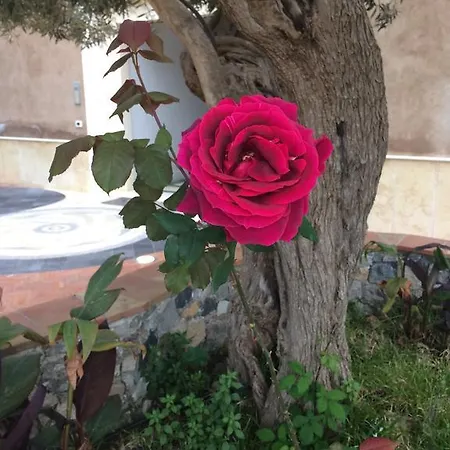 Medea Vacanze מלון דירות טאורמינה