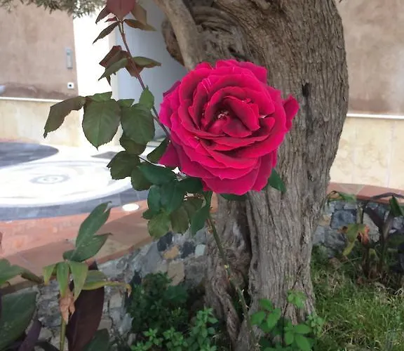 Medea Vacanze Ξενοδοχείο με διαμερίσματα Ταορμίνα
